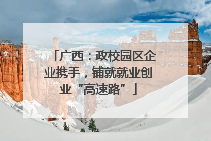 广西：政校园区企业携手，铺就就业创业“高速路”