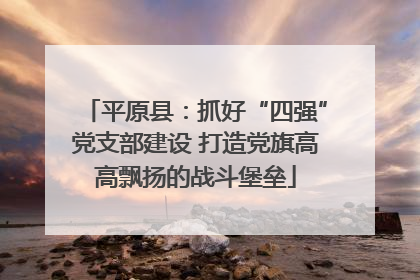 平原县：抓好“四强”党支部建设 打造党旗高高飘扬的战斗堡垒