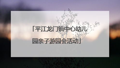 平江龙门镇中心幼儿园亲子游园会活动