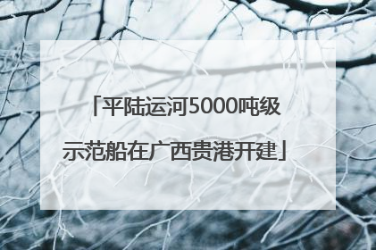 平陆运河5000吨级示范船在广西贵港开建