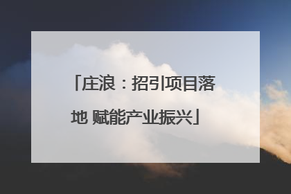庄浪：招引项目落地 赋能产业振兴