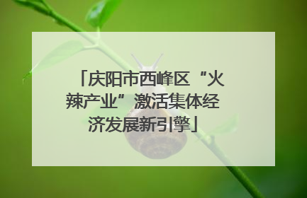 庆阳市西峰区“火辣产业”激活集体经济发展新引擎