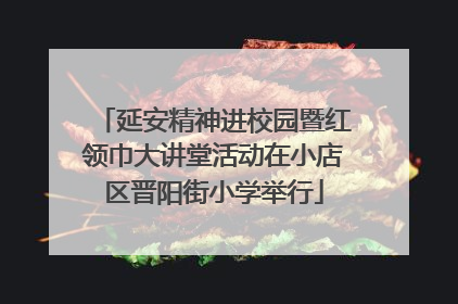 延安精神进校园暨红领巾大讲堂活动在小店区晋阳街小学举行