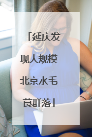 延庆发现大规模北京水毛茛群落