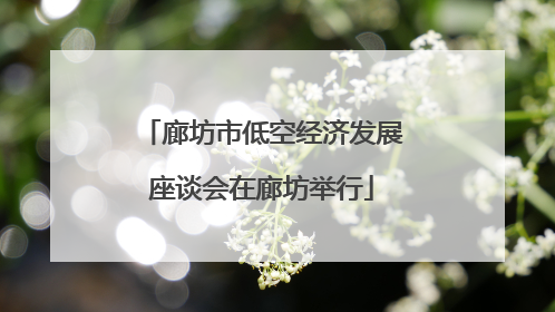 廊坊市低空经济发展座谈会在廊坊举行