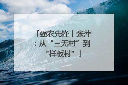 强农先锋丨张萍：从“三无村”到“样板村”
