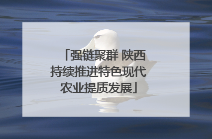 强链聚群 陕西持续推进特色现代农业提质发展