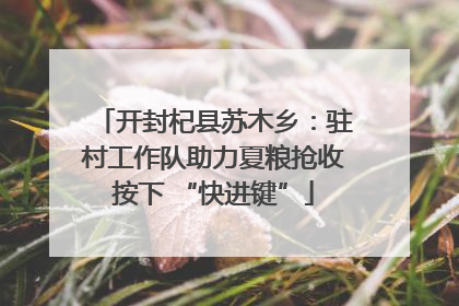 开封杞县苏木乡：驻村工作队助力夏粮抢收按下 “快进键”
