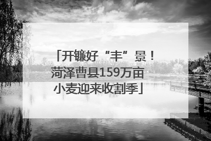 开镰好“丰”景！菏泽曹县159万亩小麦迎来收割季