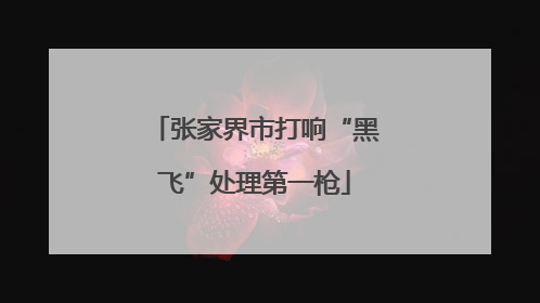 张家界市打响“黑飞”处理第一枪