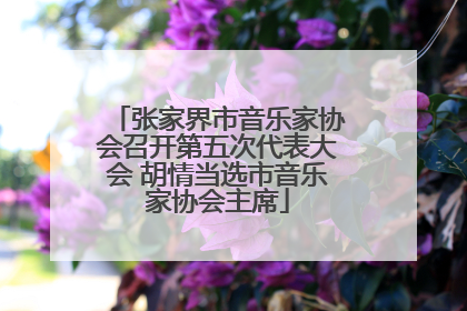 张家界市音乐家协会召开第五次代表大会 胡情当选市音乐家协会主席