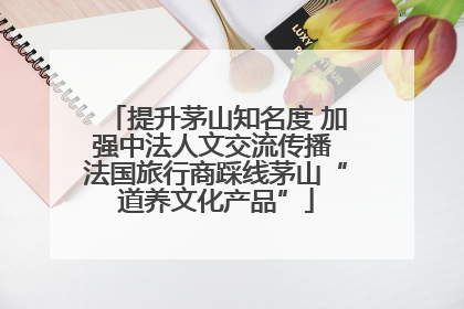 提升茅山知名度 加强中法人文交流传播 法国旅行商踩线茅山“道养文化产品”