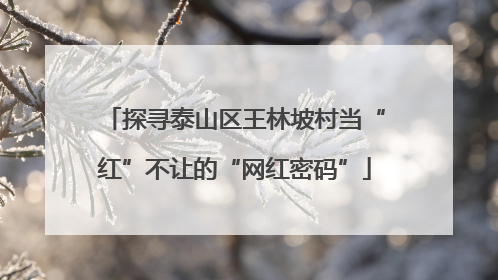 探寻泰山区王林坡村当“红”不让的“网红密码”
