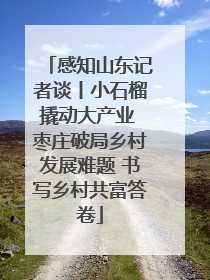 感知山东记者谈丨小石榴撬动大产业 枣庄破局乡村发展难题 书写乡村共富答卷