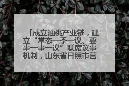 成立油桃产业链，建立“常态一季一议、要事一事一议”联席议事机制，山东省日照市莒县果庄镇——13个党小组“全周期”育果