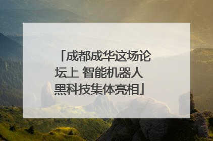 成都成华这场论坛上 智能机器人黑科技集体亮相