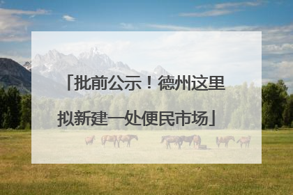 批前公示！德州这里拟新建一处便民市场