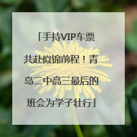 手持VIP车票共赴似锦前程！青岛二中高三最后的班会为学子壮行