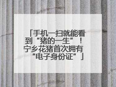 手机一扫就能看到“猪的一生”！宁乡花猪首次拥有“电子身份证”