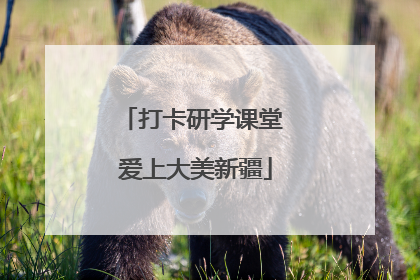 打卡研学课堂 爱上大美新疆