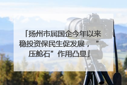 扬州市属国企今年以来稳投资保民生促发展，“压舱石”作用凸显