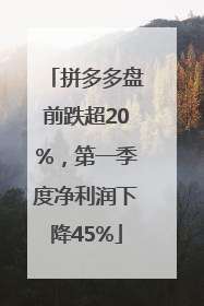 拼多多盘前跌超20%，第一季度净利润下降45%