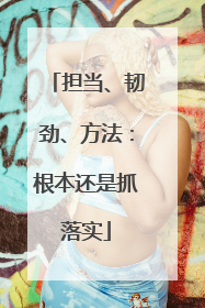 担当、韧劲、方法：根本还是抓落实