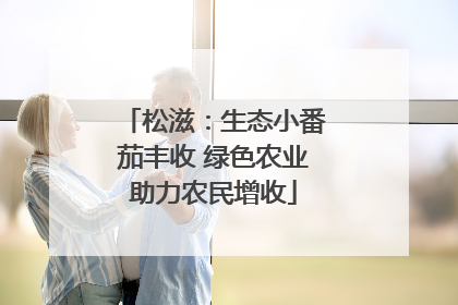 松滋：生态小番茄丰收 绿色农业助力农民增收