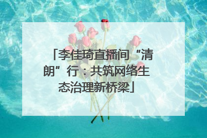 李佳琦直播间“清朗”行：共筑网络生态治理新桥梁