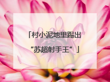 村小泥地里踢出“苏超射手王”