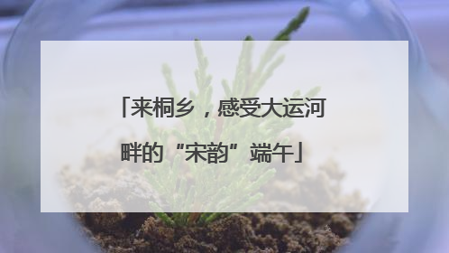 来桐乡，感受大运河畔的“宋韵”端午