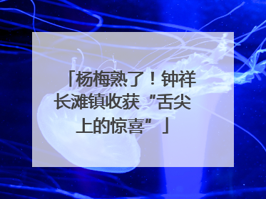杨梅熟了！钟祥长滩镇收获“舌尖上的惊喜”