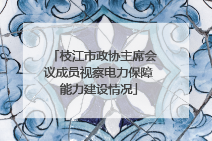 枝江市政协主席会议成员视察电力保障能力建设情况