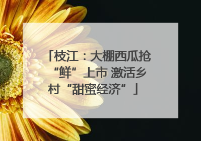 枝江：大棚西瓜抢“鲜”上市 激活乡村“甜蜜经济”