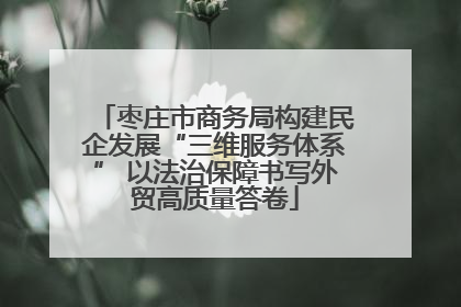 枣庄市商务局构建民企发展“三维服务体系” 以法治保障书写外贸高质量答卷