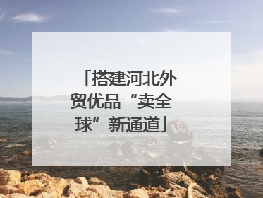 搭建河北外贸优品“卖全球”新通道
