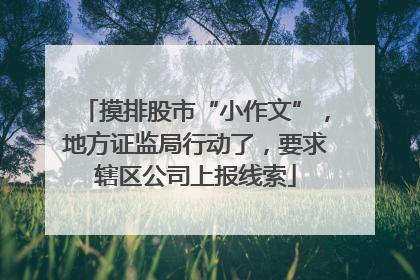 摸排股市“小作文”，地方证监局行动了，要求辖区公司上报线索