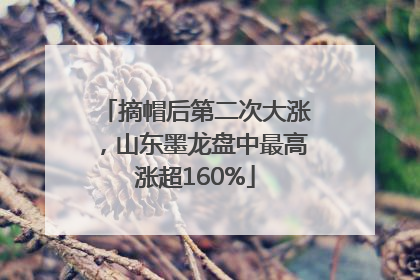 摘帽后第二次大涨，山东墨龙盘中最高涨超160%