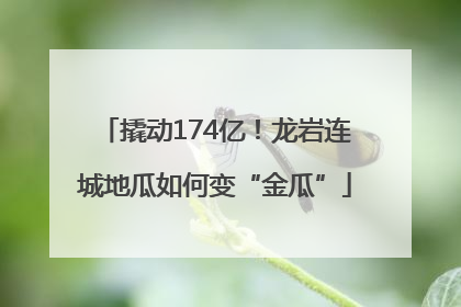撬动174亿！龙岩连城地瓜如何变“金瓜”