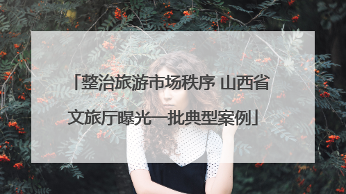 整治旅游市场秩序 山西省文旅厅曝光一批典型案例