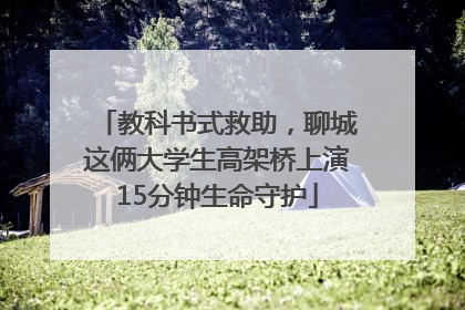 教科书式救助，聊城这俩大学生高架桥上演15分钟生命守护