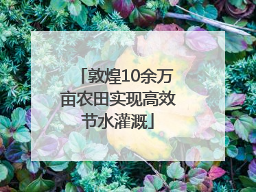 敦煌10余万亩农田实现高效节水灌溉