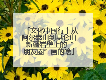 文化中国行丨从阿尔泰山到昆仑山 新疆岩壁上的“朋友圈”画的啥