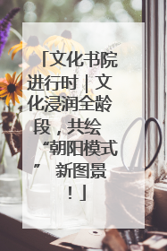 文化书院进行时｜文化浸润全龄段，共绘 “朝阳模式” 新图景！