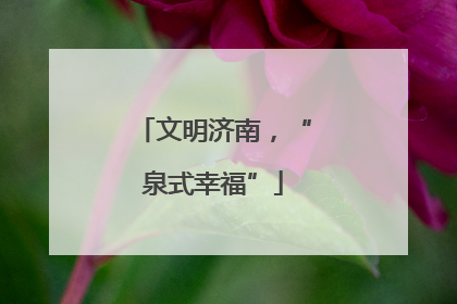 文明济南，“泉式幸福”