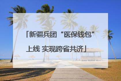 新疆兵团“医保钱包”上线 实现跨省共济