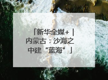 新华全媒+｜内蒙古：沙海之中建“蓝海”