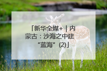 新华全媒+｜内蒙古：沙海之中建“蓝海”(2)