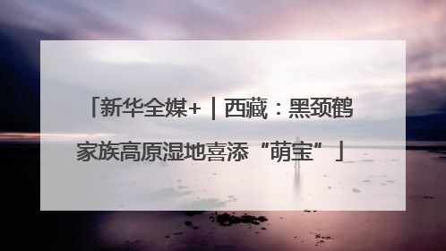 新华全媒+｜西藏：黑颈鹤家族高原湿地喜添“萌宝”