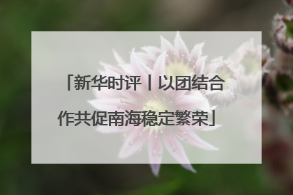 新华时评丨以团结合作共促南海稳定繁荣